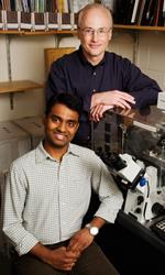 Graduate student Vijay Gupta (left) and Steven Blanke, a professor of microbiology, have discovered how an H. pylori toxin gets into cells. (Photo by L. Brian Stauffer.)