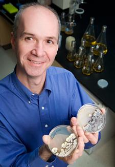 Microbiologist William Metcalf is leading a U of I team in a $7 million, five-year effort to create antibiotics from a little-known class of compounds called phosphonates.