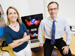 Chemistry professors Anne Baranger and Steven Zimmerman and their colleagues designed a small molecule that prevents an abnormal RNA from binding to a protein that normally splices other RNAs. (Photo by L. Brian Stauffer)