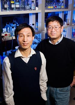 LAS biochemistry professor Lin-Feng Chen, right, and his colleagues, including postdoctoral researcher Xiao-Dong Yang, identified a novel pathway that controls the activity of a key protein involved in inflammation. (Photo by L. Brian Stauffer.)