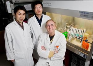 Research scientist Yonghui Zhang (left), chemist Rong Cao, chemistry professor Eric Oldfield, and their colleagues engineered a new bisphosphonate drug that is about 200 times more effective at killing cancer cells than a bisphosphonate drug used in a recent clinical trial. (Photo by L. Brian Stauffer.)
