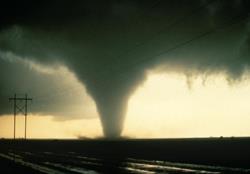 Tornadoes can pack the energy equivalent of several atomic bombs. Data being collected by a U of I meteorologist and other scientists as part of the VORTEX2 project may lead to better predictions of which storms will generate these dangerous twisters, such as this one in Texas. (Courtesy University Corporation for Atmospheric Research. Photo by Harald Richter.)