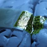 The implant has a substrate of silk that supports the mesh of electrodes while it is being inserted, then it dissolves like sutures, eliminating the need to surgically remove it later.
