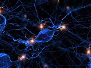 In a simulated system of neurons, researchers were surprised to find that even with random connections and random failures injected into it, the parts of the system continued to work together in sync.