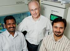 Microbiology professor Steven Blanke (center), graduate student Prashant Jain (left), and postdoctoral researcher Tamilselvam Batcha found that a factor produced by the bacterium H. pylori directly activates an enzyme in host cells that has been associated with several types of cancer, including gastric cancer. (Photo by L. Brian Stauffer)