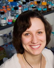 Biochemist Maria Spies is studying the behavior of a helicase that plays an important role in DNA repair. (Photo by L. Brian Stauffer)