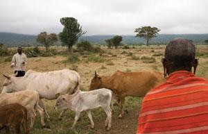 The hardships of life in rural Kenya showed alumna Robin Wiszowaty the importance of family and community in the land that became her adopted home.