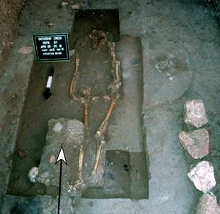 The torso and pelvis of this body, found in the floor of one of the homes professor Lisa J. Lucero excavated, had been removed. A metate and mano, used for grinding corn, were found near the right knee. (Photo courtesy of Lisa J. Lucero)