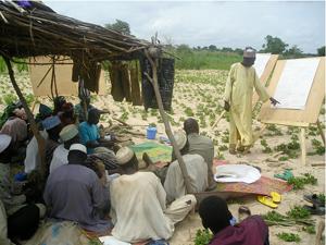 New animated videos will be helpful tools in a variety of educational settings, like this 'farmer field school' in Niger. (Photo by Ibrahim Baoua)