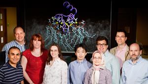 U of I lab research could have an impact on the development of drug treatments to prevent dangerous clots from forming in the bloodstream, plus treatments that promote clotting in hemophiliac patients. (Photo by L. Brian Stauffer)
