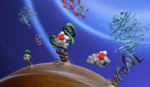 U of I chemists coupled functional DNA sensors and glucose meters for fast, easy, portable detection of drugs, toxins, disease markers, and other molecules in blood, water, or food. (Image by Li Huey Tan, Yu Xiang, and Yi Lu)