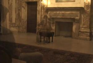 Students made a video depicting a world devoid of literature, plays, music, philosophy, anthropology, and the arts for a contest co-sponsored by the Unit for Criticism and Interpretive Theory.
