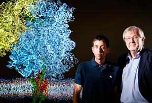 Physics and biophysics professor Klaus Schulten (right) and physics graduate student James Gumbart captured the first-ever snapshot of a newly born protein emerging from a ribosome and entering the cell membrane through the SecY channel, shedding new light on the process. (Photo by L. Brian Stauffer)