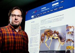 Professor Andy Suarez facilitated the creation of the Antkey website, pictured behind him, which makes ant identification easier for non-specialists. (Photo by L. Brian Stauffer)