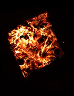 Vascular endothelial growth factor photo-immobilized onto a collagen-GAG scaffold, by Aurora Turgeon, Ryan Bailey Lab.