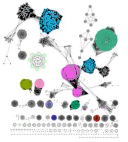 View from a Sequence Similarity Network, by Jason Bouvier, John Gerlt Lab.