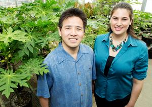 Ray Ming, a professor of plant biology, and Andrea Gschwend, who was a doctoral student in Ming's lab, researched the early evolution of sex chromosomes. (Photo by L. Brian Stauffer)