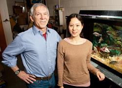 Rhanor Gillette, a University of Illinois molecular and integrative physiology professor, left, and graduate student Keiko Hirayama found a simple circuit in the sea slug brain that integrates hunger, sensory information, and memory to drive the animal's response to the smell of food. (Photo by L. Brian Stauffer)