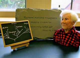A biology professor requested that a felt sculpture of the late Carl Woese be made as a tribute to the microbiologist. (Photo courtesy of Mark Martin)