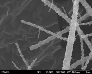 Nanofibers of metal oxide provide lots of highly reactive surface area for scrubbing sulfur compounds from fuel. Sulfur has to be removed because it emits toxic gasses and corrodes catalysts. (Photo by Mayank Behl)