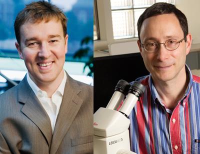 Professors Brendan Harley and Phillip Newmark are among six Illinois faculty members elected 2014 fellows of the American Association for the Advancement of Science. (Photos by L. Brian Stauffer.)