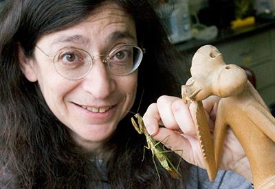 University of Illinois Department of Entomology head May Berenbaum received the National Medal of Science, the nation's highest honor for achievement and leadership in advancing the field of science.
