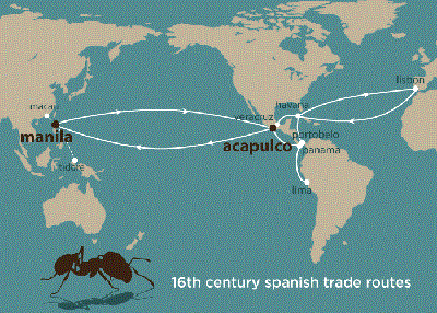 Soil was loaded onto Spanish galleons traveling from Acapulco, Mexico, to Manila, Philippines, in the 16th century. The soil, needed for ballast on empty vessels, likely also included tropical fire ants, researchers report. | Graphic by Julie McMahon