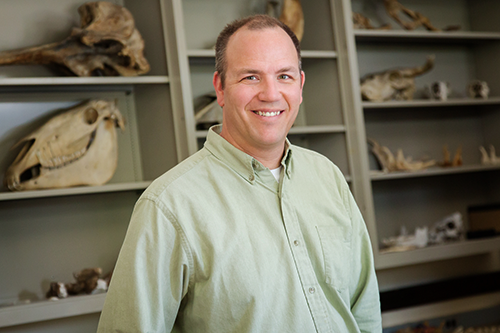 In a study of fossils spanning 63 million years, University of Illinois animal biology professor Jonathan Marcot and his colleagues found that current patterns of mammal biodiversity in North America are a relatively recent phenomenon. (Photo by L. Brian Stauffer.)