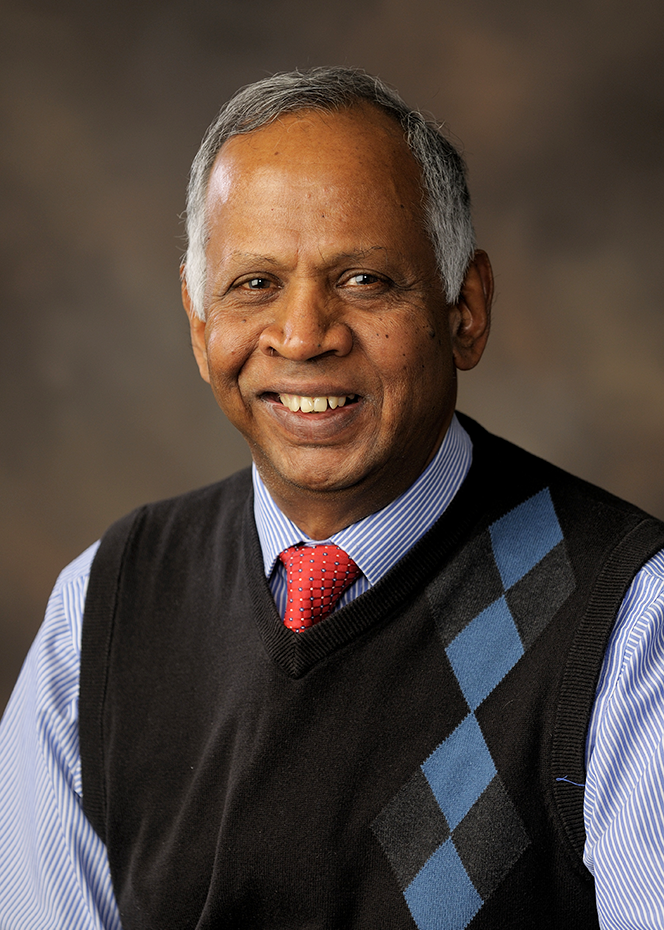 Sivapalan received the 2017 Alfred Wegener Medal, one of three equally top-ranked medals awarded by European Geosciences Union. (Photo courtesy of the Department of Geography & GIScience.) 