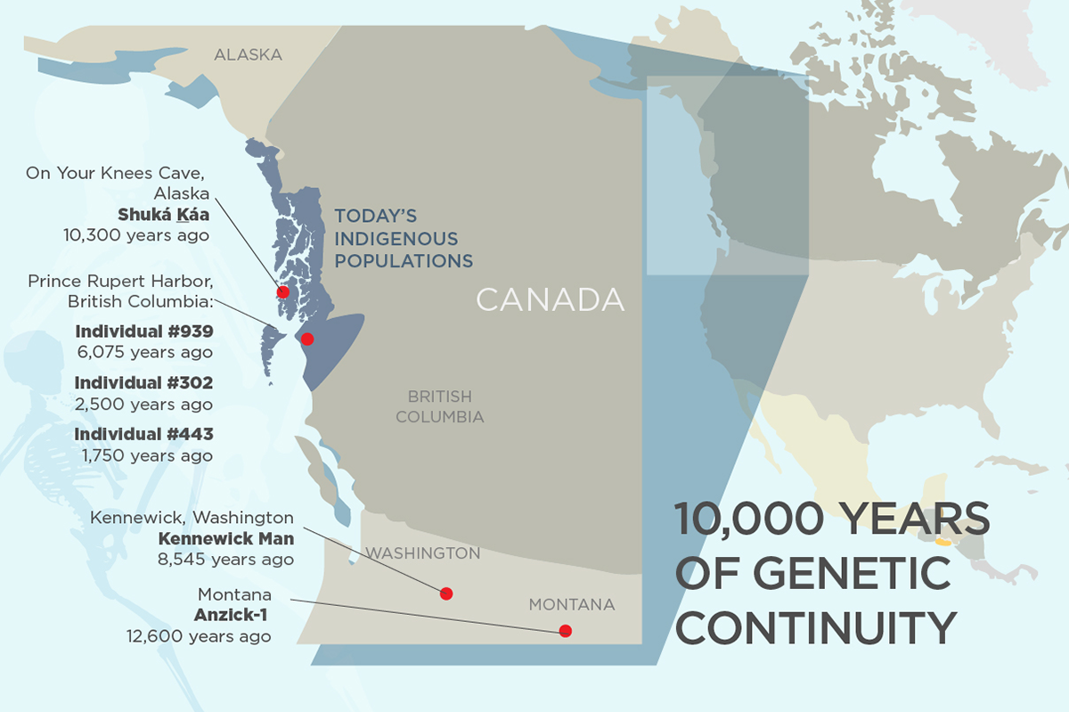 Researchers are analyzing DNA from ancient individuals found in southeast Alaska, coastal British Columbia, Washington state and Montana. A new genetic analysis of some of these human remains finds that many of today’s indigenous peoples living in the same regions are descendants of ancient individuals dating to at least 10,300 years ago. (Graphic by Julie McMahon.) 