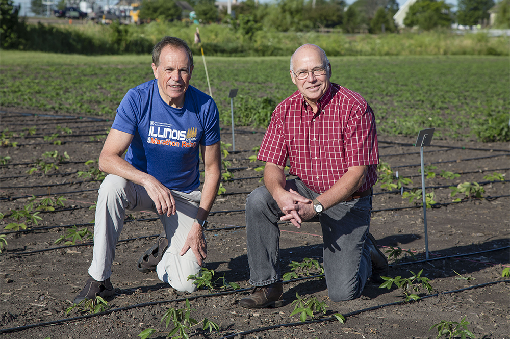Stephen Long, left, and Donald Ort direct the Realizing Increased Photosynthetic Efficiency (RIPE) project that has received a $45 million reinvestment. (Photo courtesy of Carl R. Woese Institute for Genomic Biology.) 