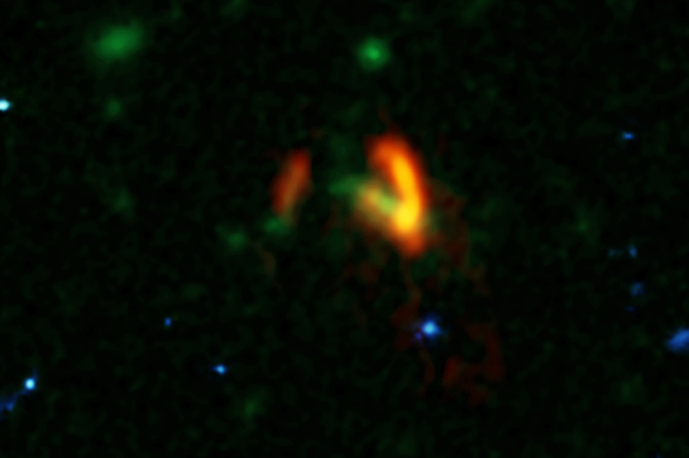 A composite image showing ALMA data (red) of the two galaxies of SPT0311-58. These galaxies are shown over a background from the Hubble Space Telescope (blue and green). The ALMA data show the dusty glow of the two galaxies. The image of the galaxy on the right is distorted by gravitational lensing. The nearer foreground lensing galaxy is the green object between the two galaxies imaged by ALMA. Credit: ALMA (ESO/NAOJ/NRAO), Marrone, et al.; B. Saxton (NRAO/AUI/NSF); NASA/ESA Hubble