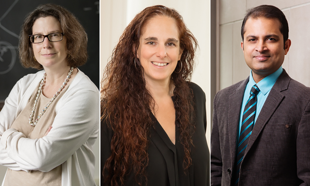 From left: Amy Ando, professor of environmental and natural resource economics, Hedda Meadan-Kaplansky, professor of special education, and Saurabh Sinha, professor of computer science, have been named University Scholars. 