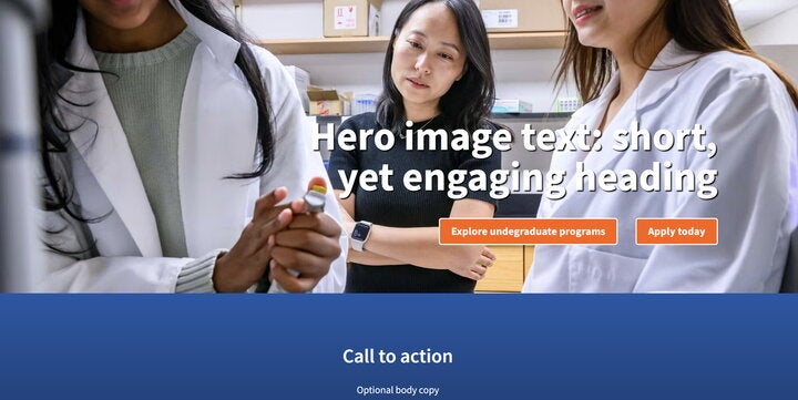 screenshot of landing page