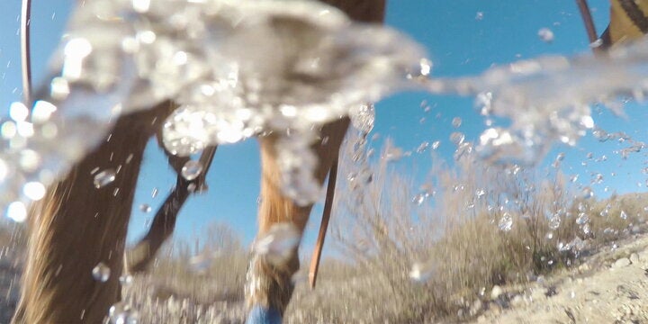 One of the frames from “TORNADO,” a chronophotography work showing a horse running through a desert in Arizona.