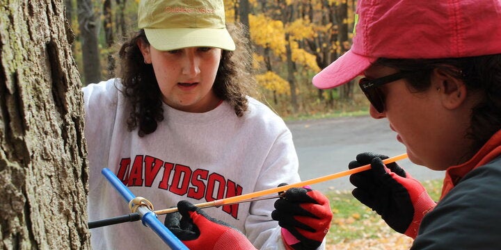 Two students take a core sample from a white oak at Homer Lake Forest Preserve