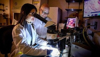 A faculty member conducts research