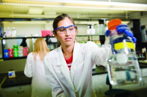 A student conducts an experiment with a beaker