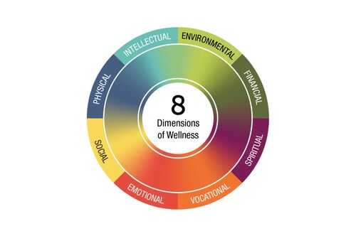 A wheel of wellness