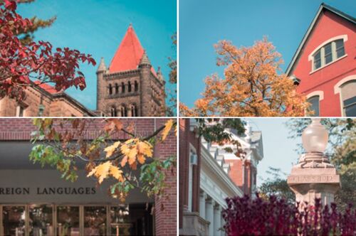 Four buildings on the Main Quad with autumn colors by them