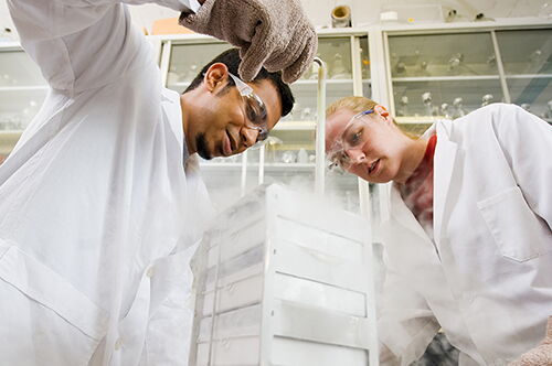 Students work in a lab