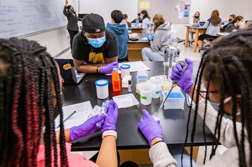 Students pipetting