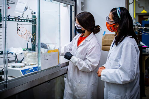 Students in a lab