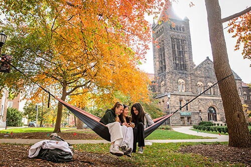 Students in a hammock