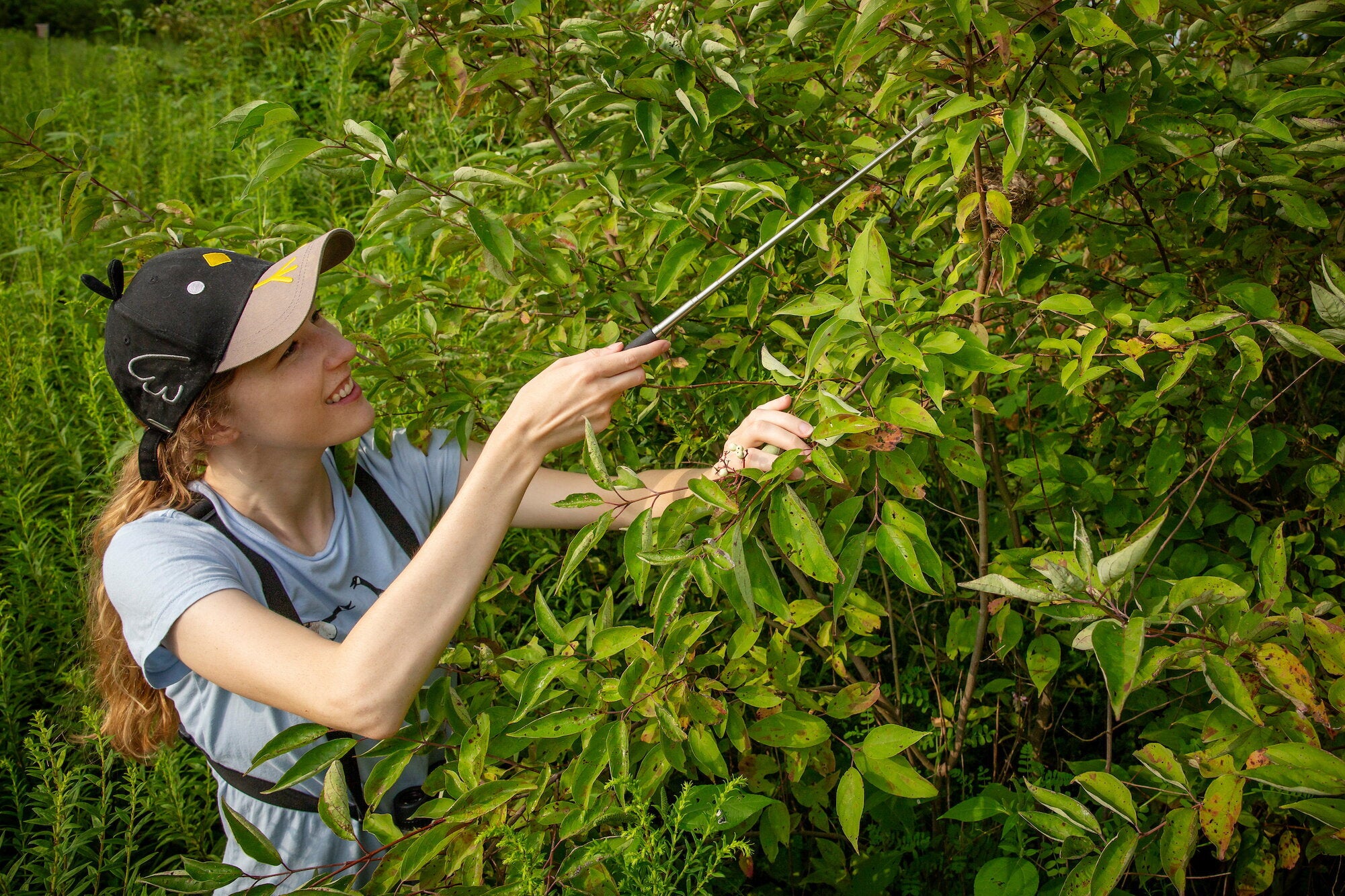 student gathering samples outdoors