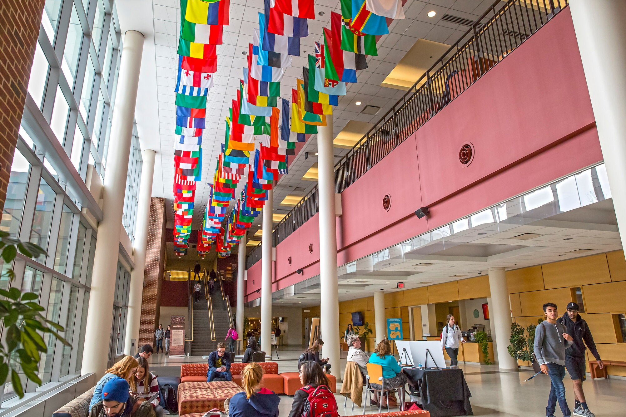 South entrance to the SDRP building with ceiling flags.