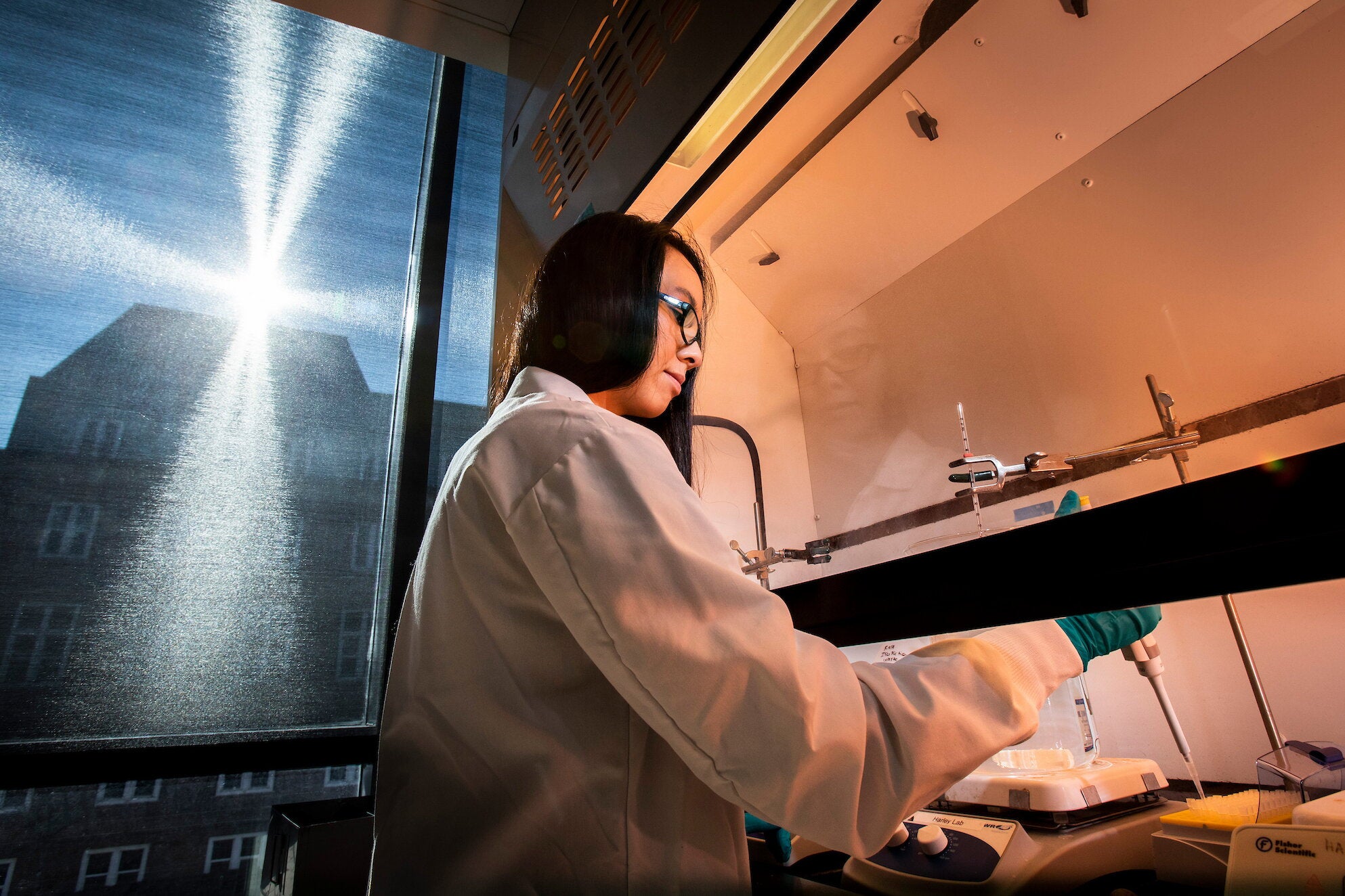 students working in a lab