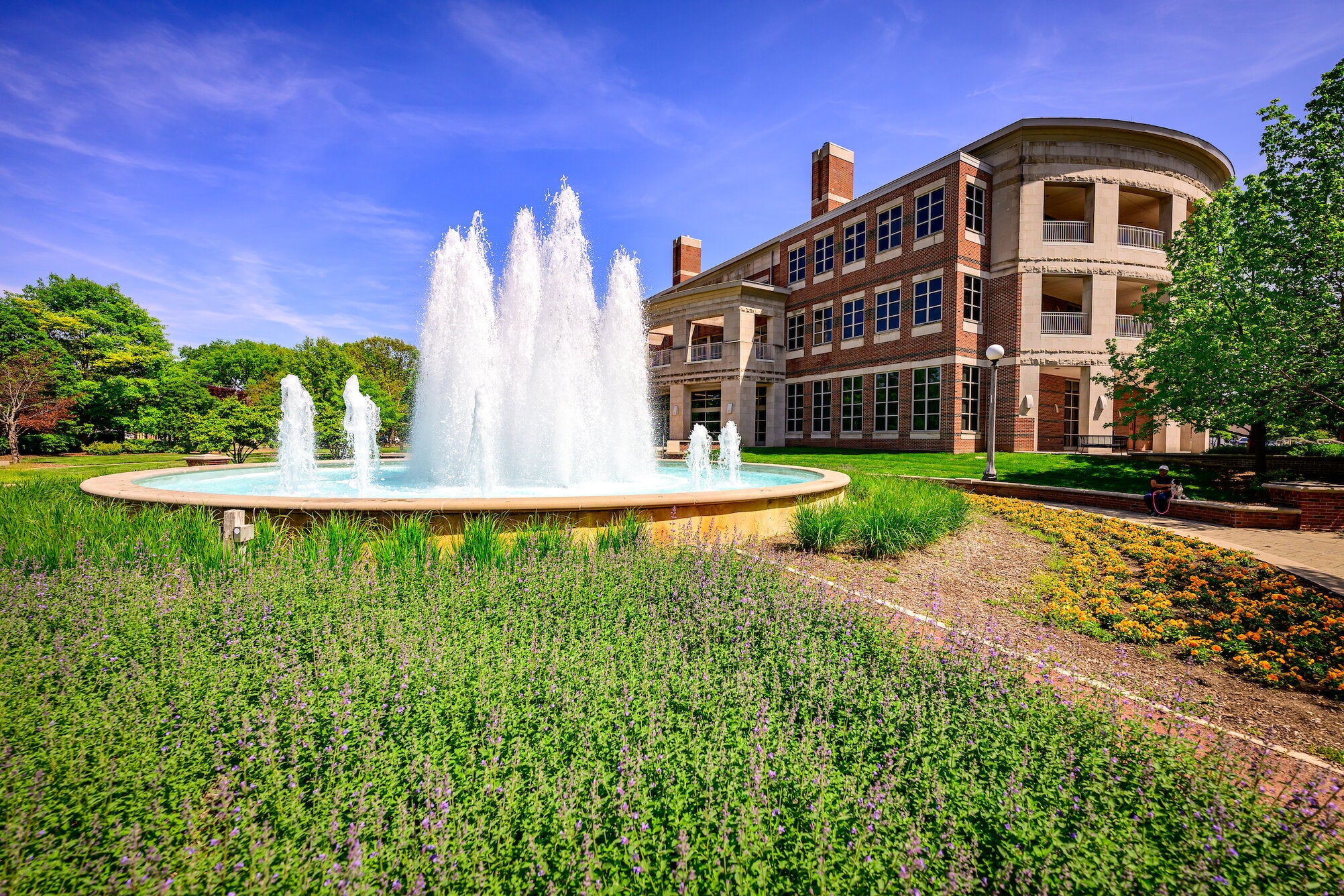 Alice Campbel alumni center