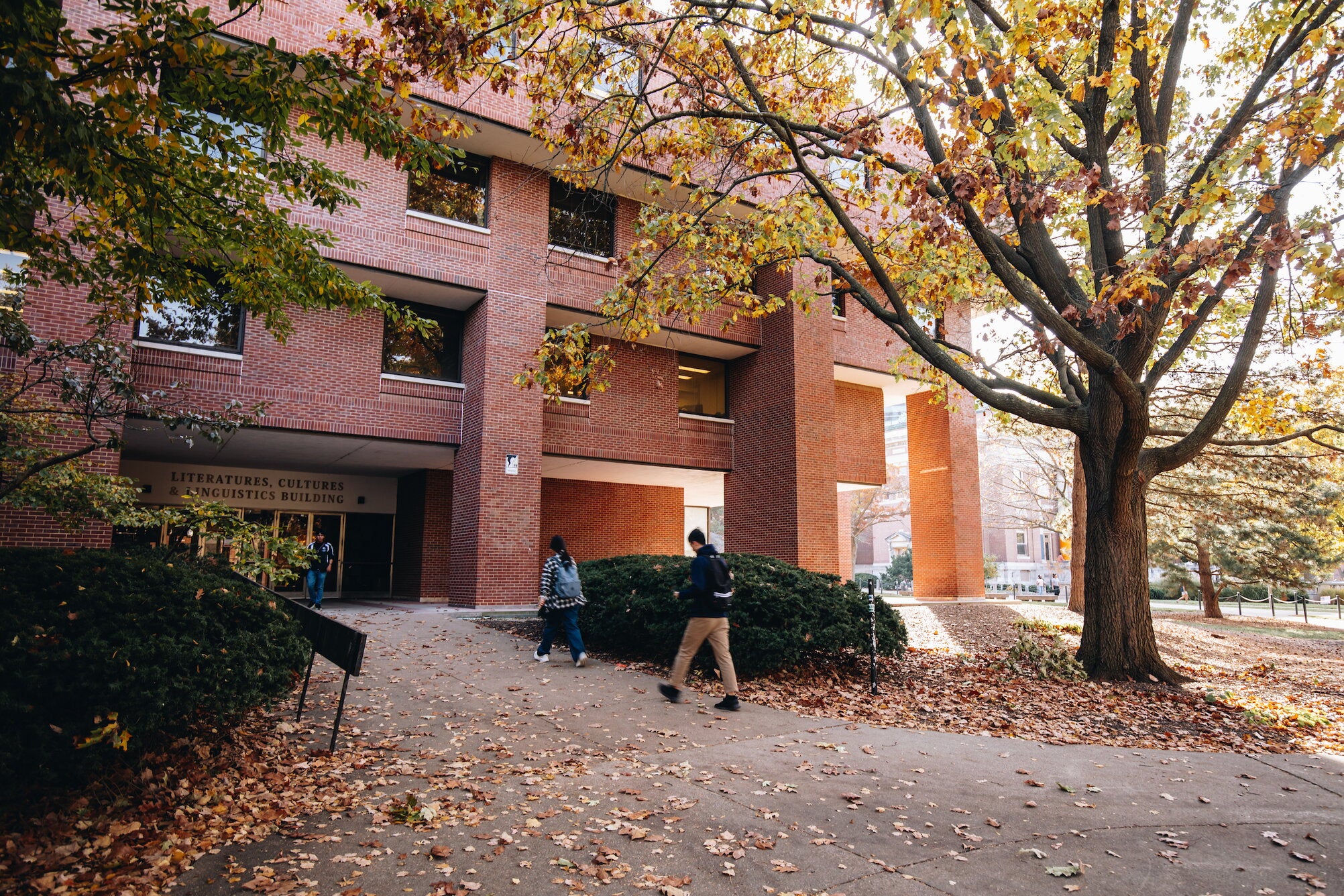Literatures, cultures and linguistics building