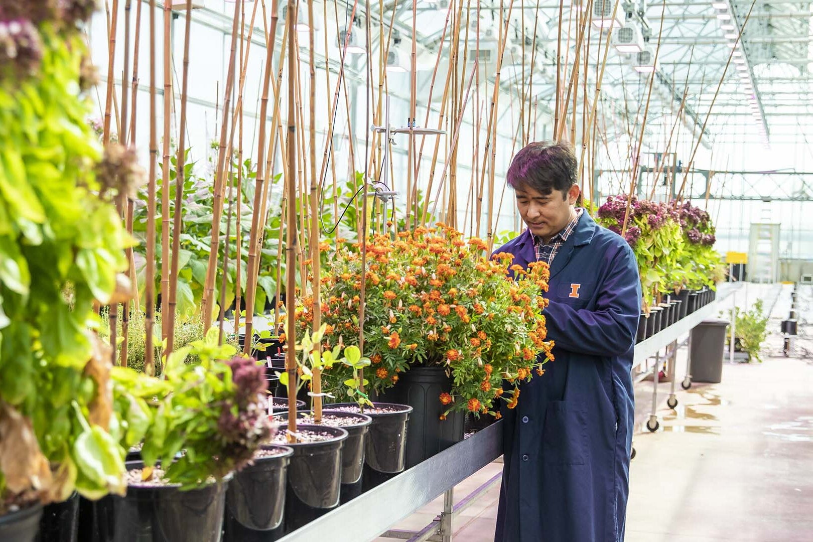 U of I plant biologist. 